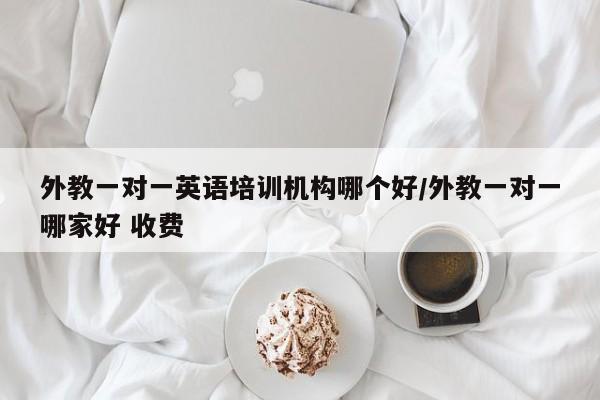 外教一对一英语培训机构哪个好／外教一对一哪家好 收费