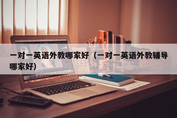 一对一英语外教哪家好（一对一英语外教辅导哪家好）