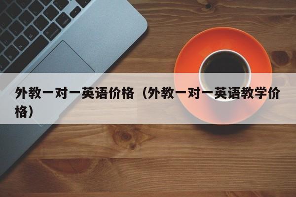 外教一对一英语价格（外教一对一英语教学价格）
