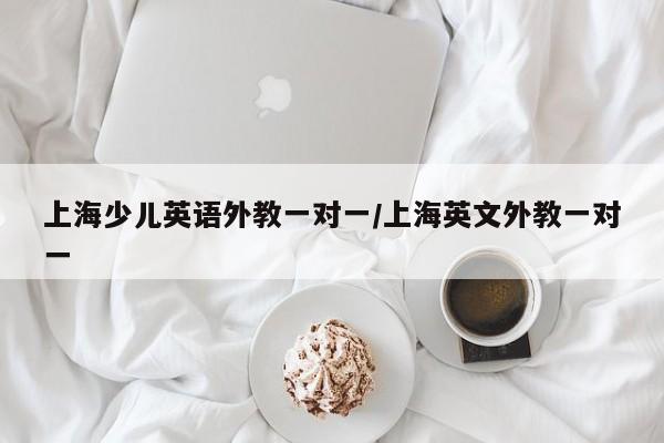 上海少儿英语外教一对一／上海英文外教一对一