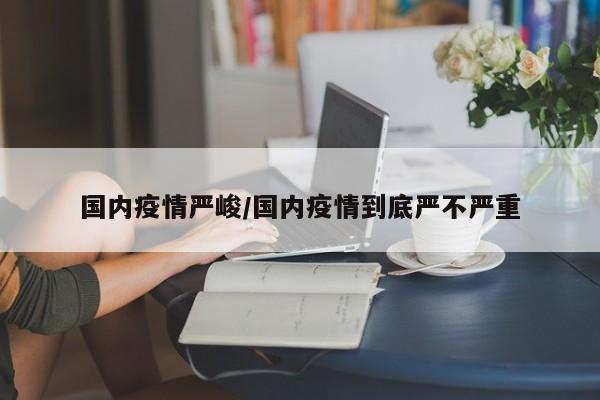 国内疫情严峻／国内疫情到底严不严重