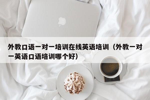 外教口语一对一培训在线英语培训（外教一对一英语口语培训哪个好）