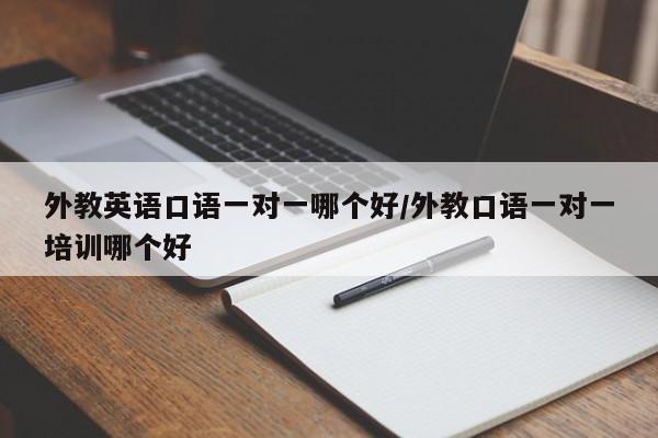 外教英语口语一对一哪个好／外教口语一对一培训哪个好