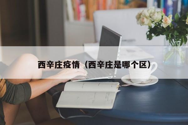西辛庄疫情（西辛庄是哪个区）