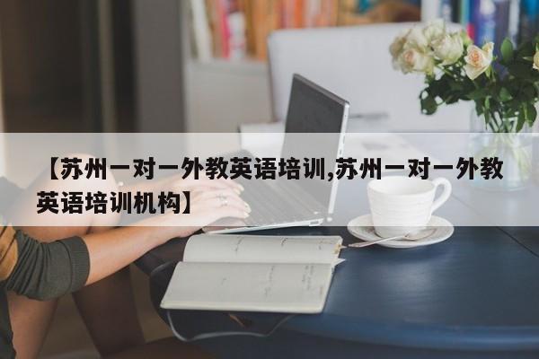 【苏州一对一外教英语培训,苏州一对一外教英语培训机构】