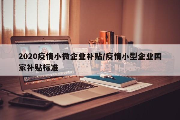 2020疫情小微企业补贴／疫情小型企业国家补贴标准