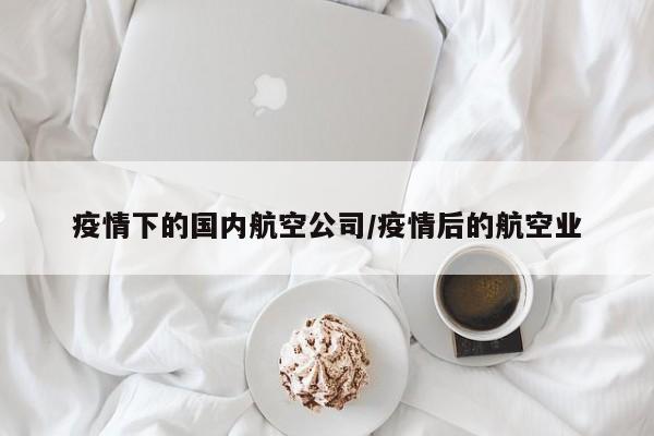 疫情下的国内航空公司／疫情后的航空业