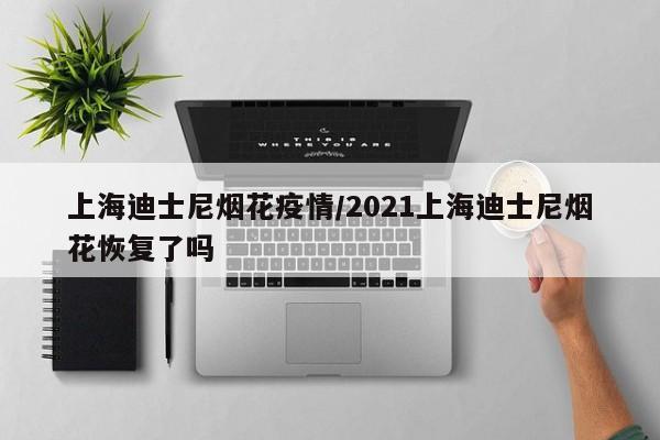 上海迪士尼烟花疫情／2021上海迪士尼烟花恢复了吗