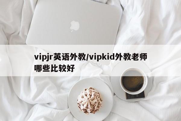 vipjr英语外教／vipkid外教老师哪些比较好